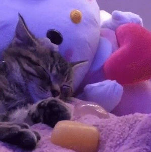 Meet your Posher, Ev